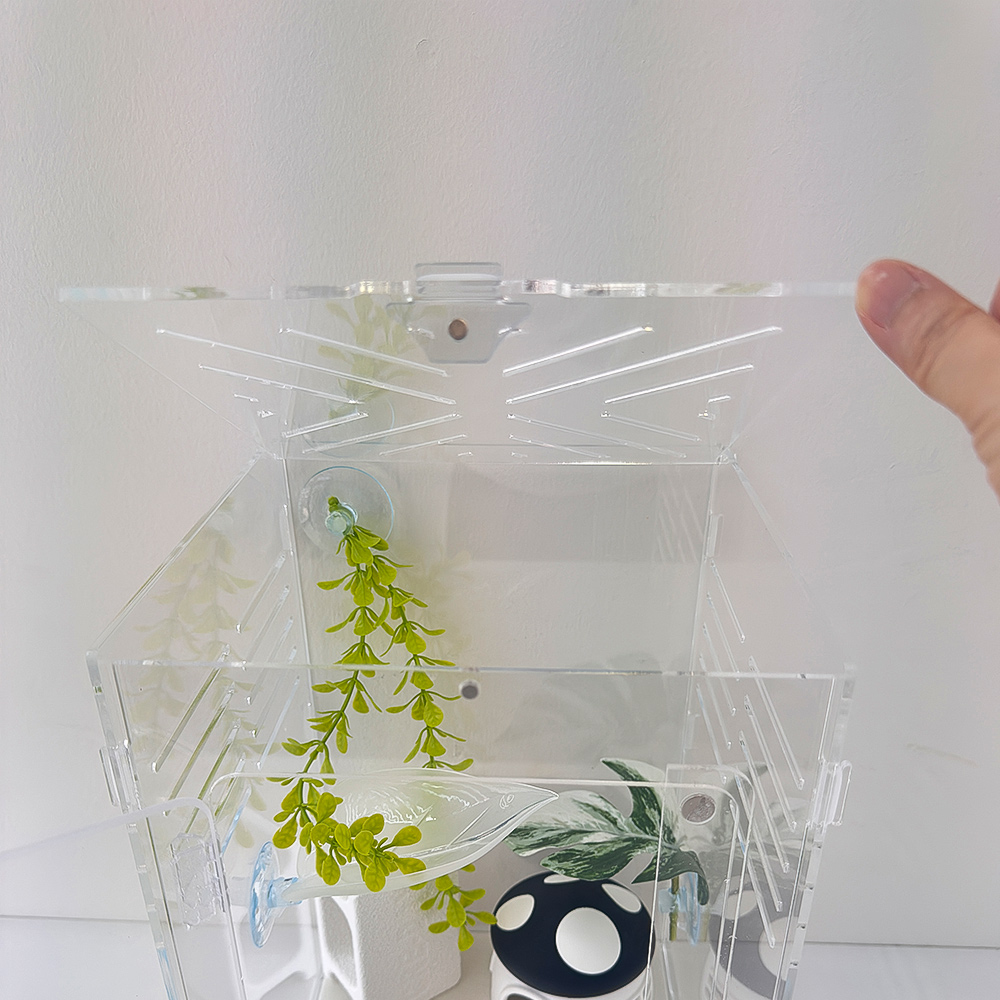 크레세오 아크릴 도마뱀 사육장 202030 크레스티드 게코 사육장