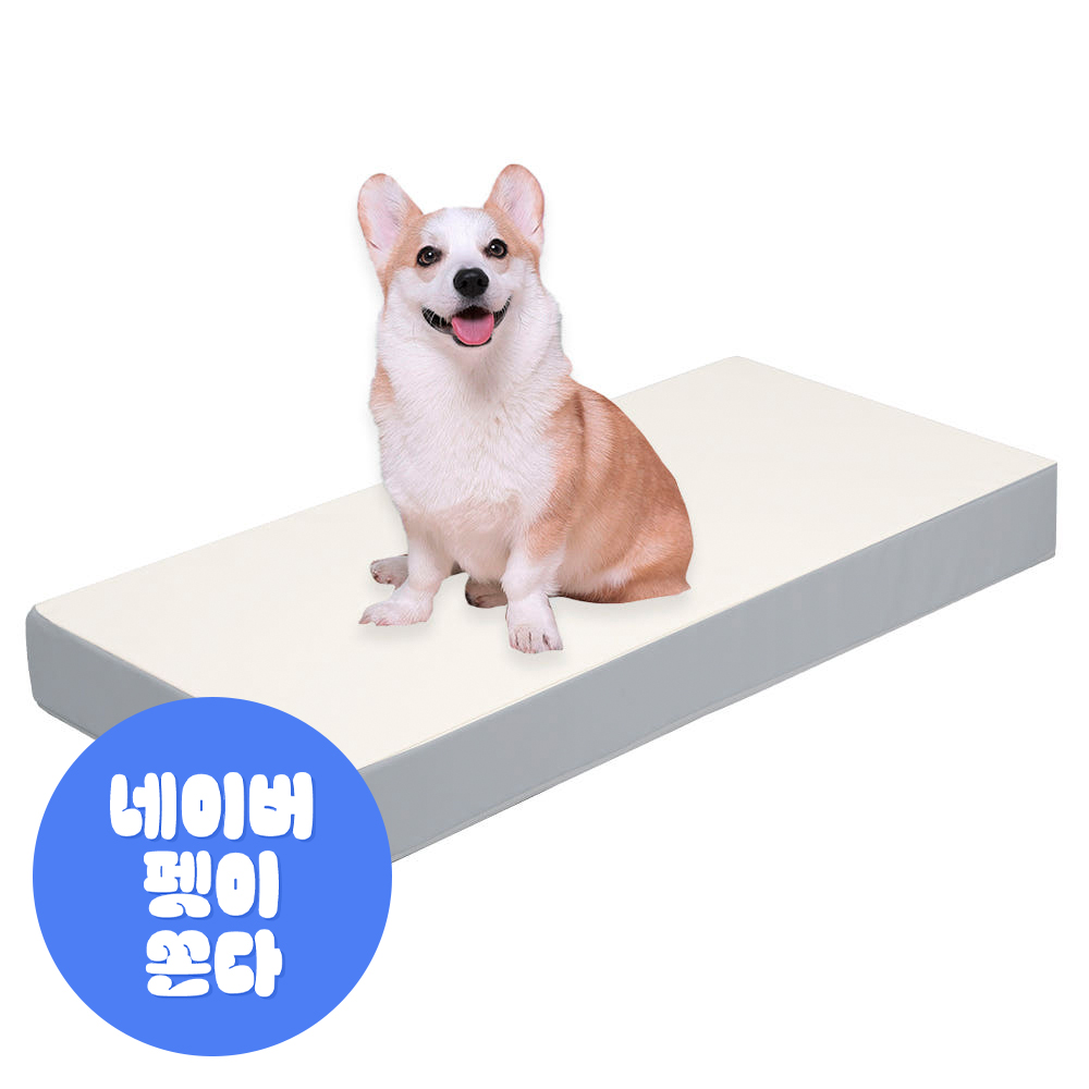 초코펫하우스 강아지계단 논슬립스텝2.0 1단 스텝 솔직 후기 | 실제 사용자 리뷰 총정리 - 대표 이미지