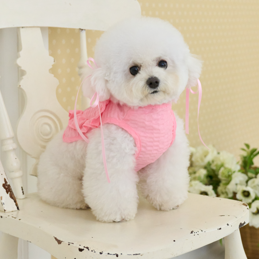 B급 요새 강아지 여름옷 강아지 쿨조끼 쿨티 아이스팩 옷 내새끼 굿즈 판초