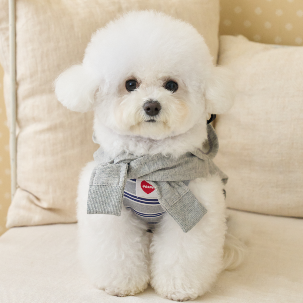 요새 강아지 여름옷 강아지 쿨조끼 쿨티 아이스팩 옷 쿨링 On 페이크 후드