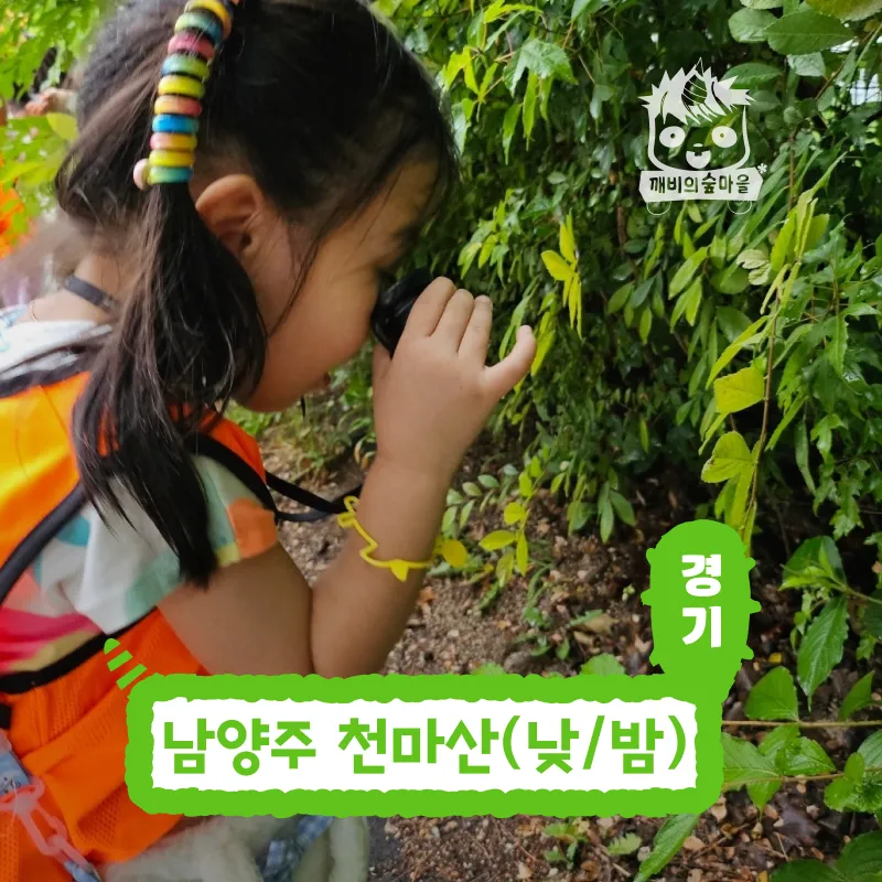 [깨비의숲마을][남양주 천마산] 경기 남양주 숲체험 어린이 가을 유아 초등 자연 곤충 주말 체험 학습