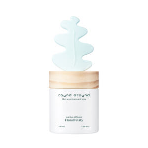 라운드어라운드 선인장 디퓨저 100ml 2종 택1 솔직 후기 | 실제 배치 사진 포함 - 상품 이미지 4