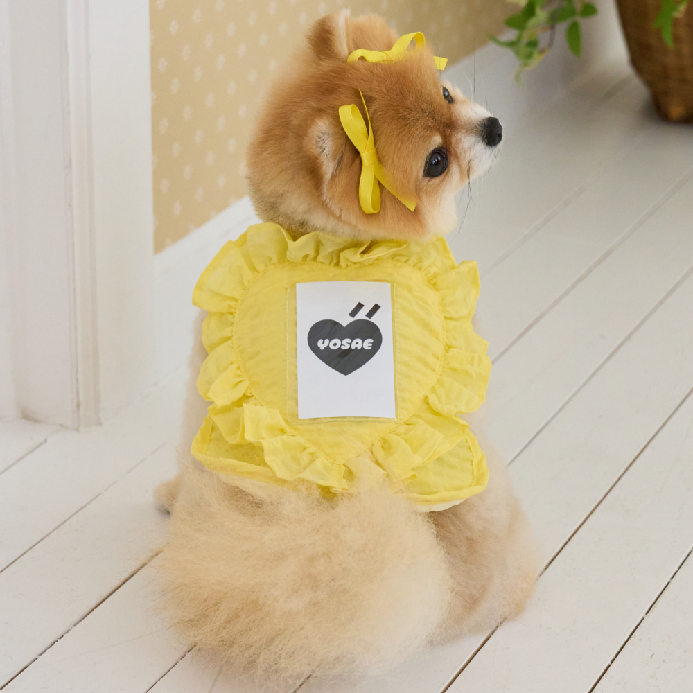 B급 요새 강아지 여름옷 강아지 쿨조끼 쿨티 아이스팩 옷 내새끼 굿즈 판초