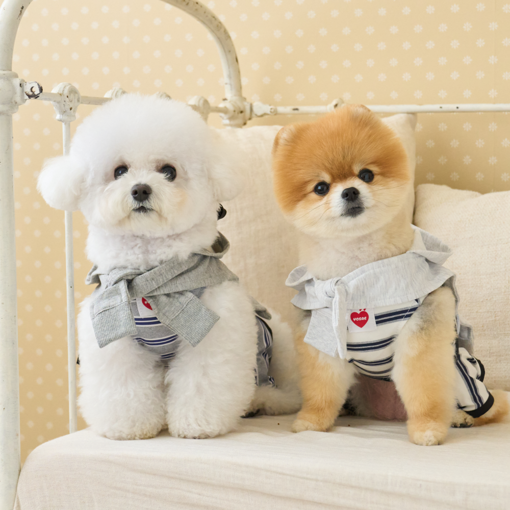 요새 강아지 여름옷 강아지 쿨조끼 쿨티 아이스팩 옷 쿨링 On 페이크 후드