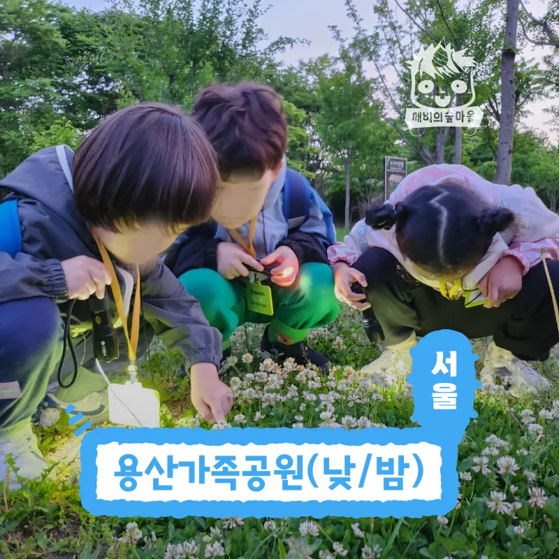 [깨비의숲마을][용산가족공원] 서울 용산구 숲체험 어린이 가을 유아 초등 자연 주말 곤충 체험 학습