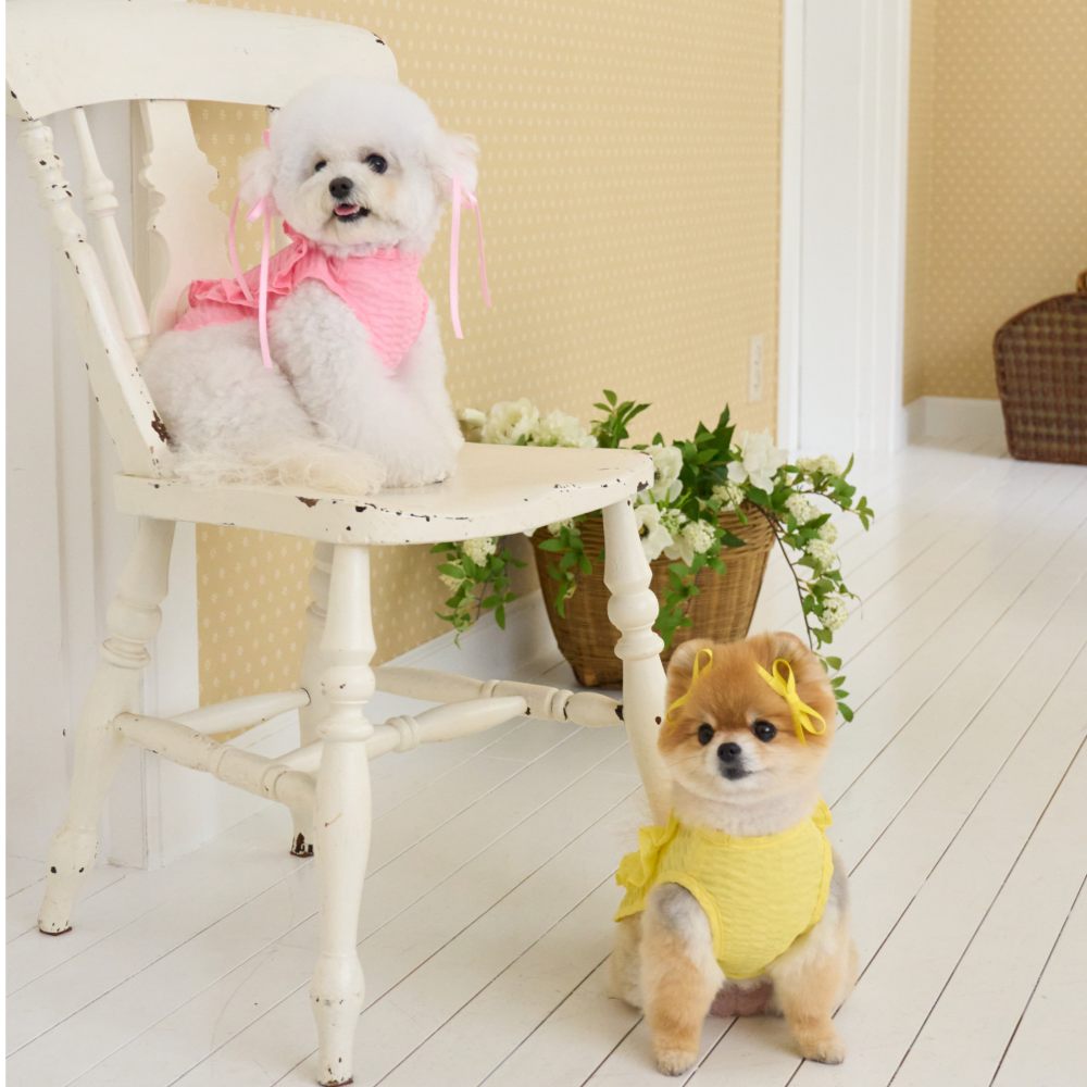 B급 요새 강아지 여름옷 강아지 쿨조끼 쿨티 아이스팩 옷 내새끼 굿즈 판초