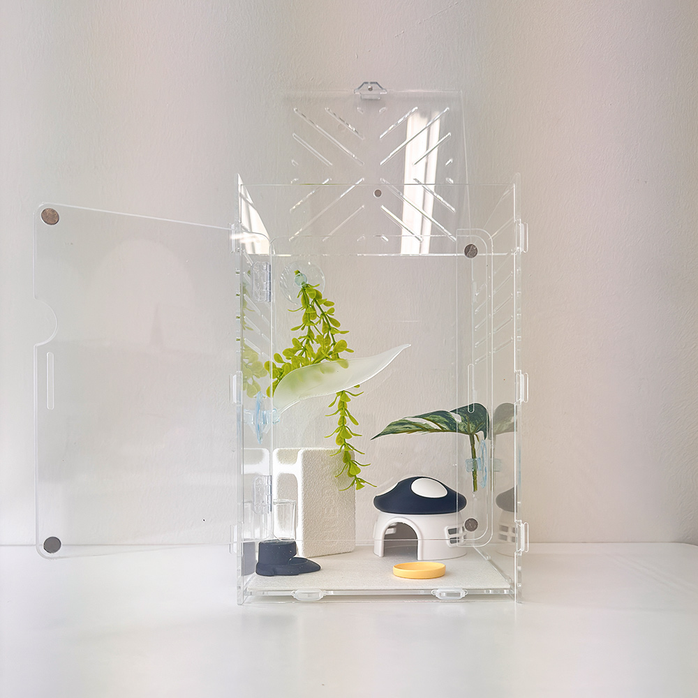 크레세오 아크릴 도마뱀 사육장 202030 크레스티드 게코 사육장