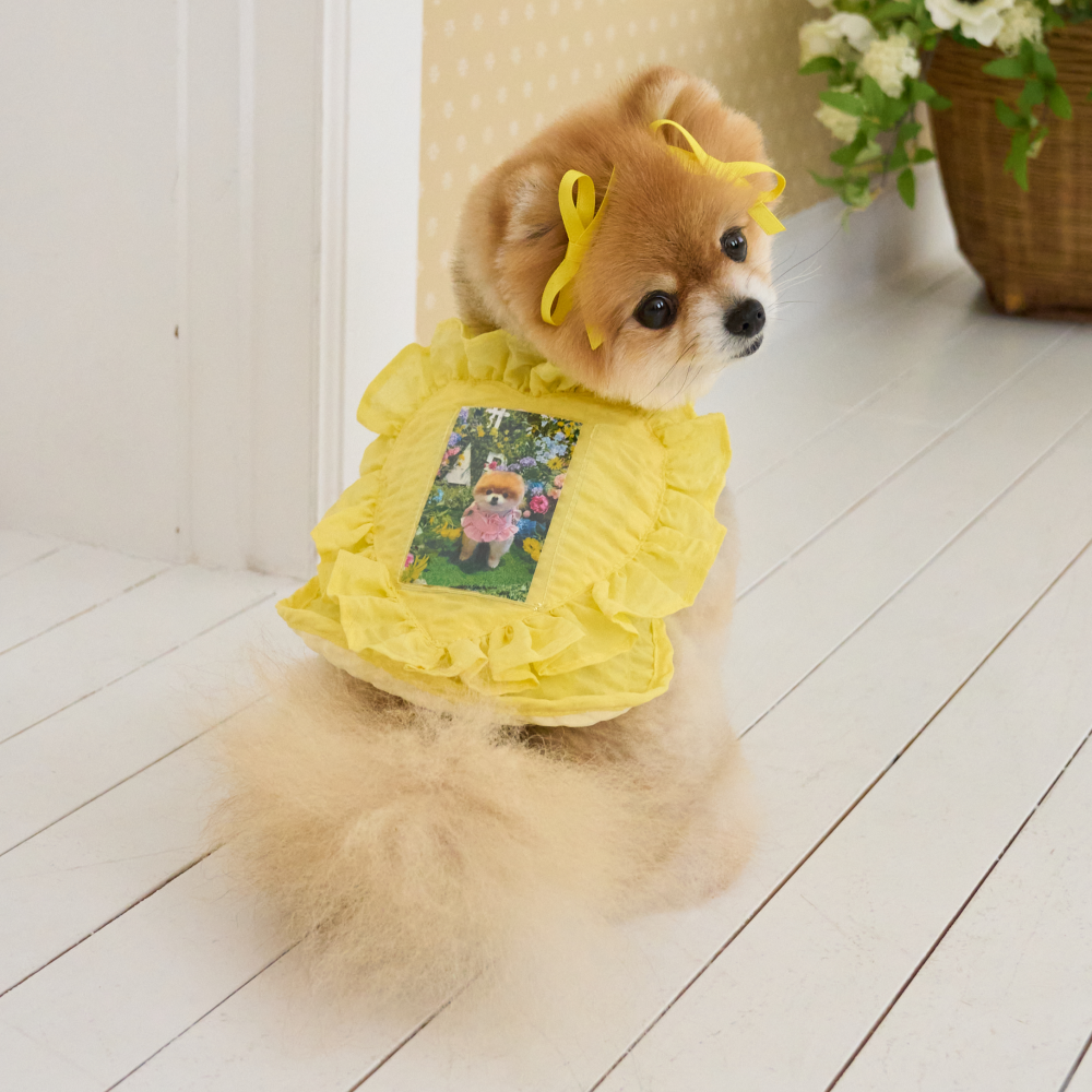 B급 요새 강아지 여름옷 강아지 쿨조끼 쿨티 아이스팩 옷 내새끼 굿즈 판초