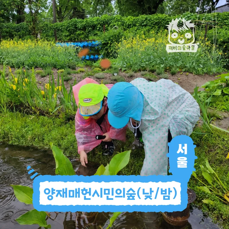 [깨비의숲마을][양재매헌시민의숲] 서울 서초구 숲체험 어린이 겨울 유아 초등 자연 곤충 주말 체험 학습