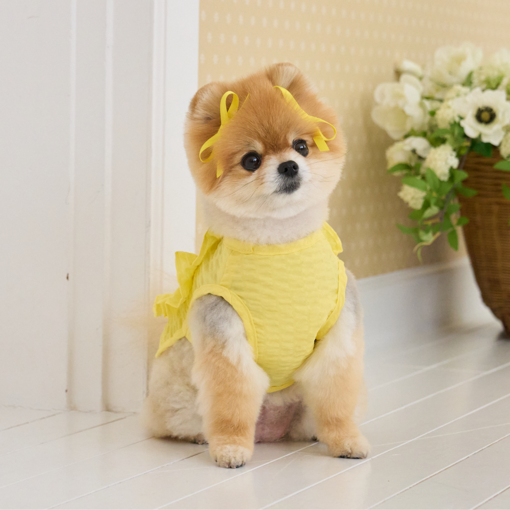 B급 요새 강아지 여름옷 강아지 쿨조끼 쿨티 아이스팩 옷 내새끼 굿즈 판초