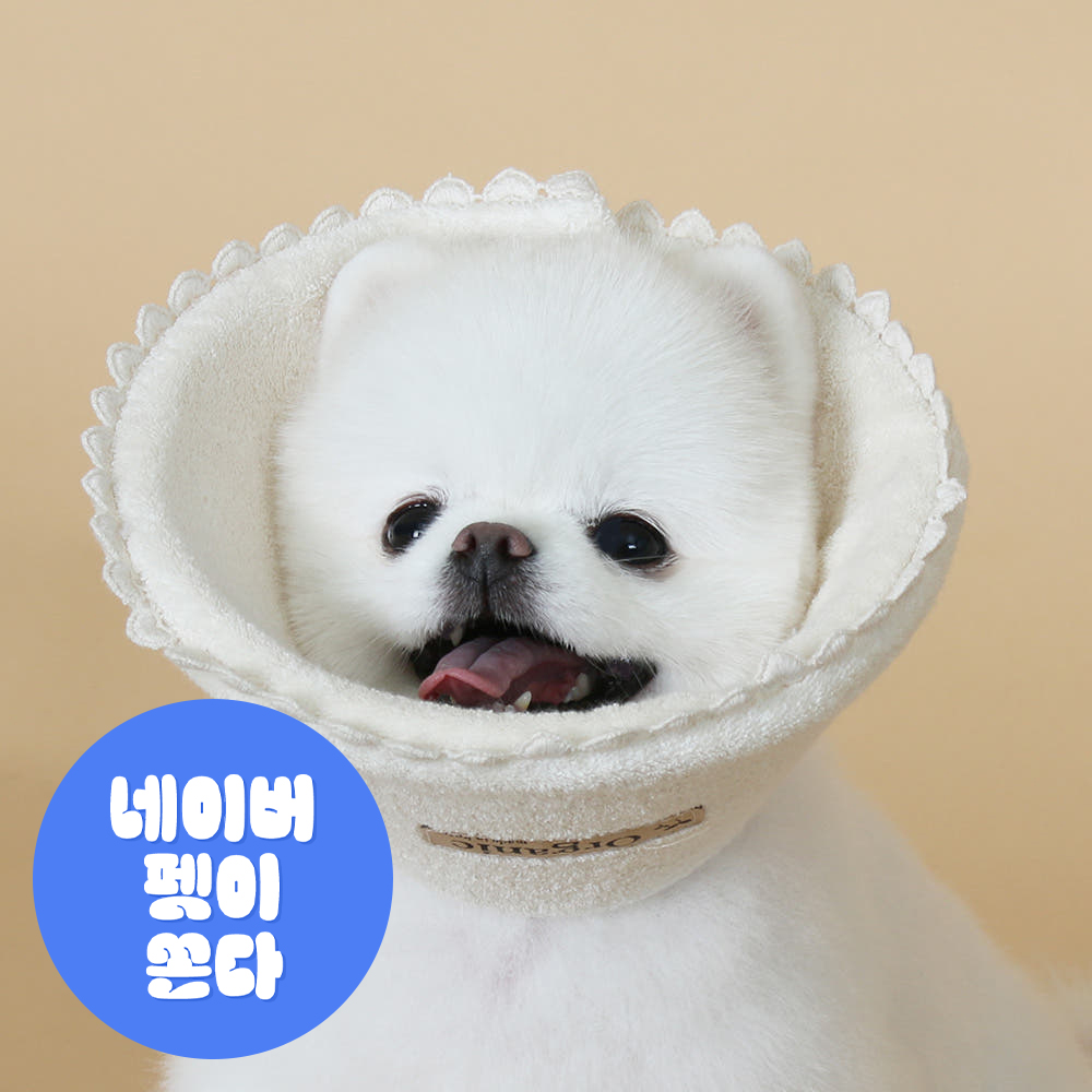 초코펫하우스 강아지 오가닉 레이스 넥카라