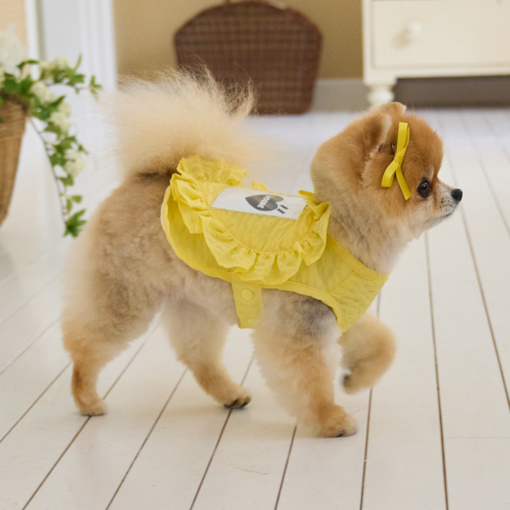 B급 요새 강아지 여름옷 강아지 쿨조끼 쿨티 아이스팩 옷 내새끼 굿즈 판초