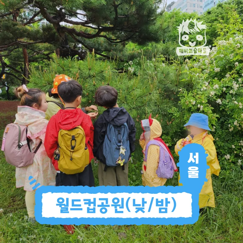 [깨비의숲마을][월드컵공원] 서울 마포구 숲체험 어린이 가을 유아 초등 자연 곤충 주말 체험 학습