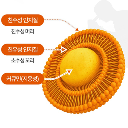 네이처맥스 강황 수용성 리포좀 커큐민 60정 1박스 2개월 높은 흡수율 고함량 인도 효능 - 상세 이미지 4