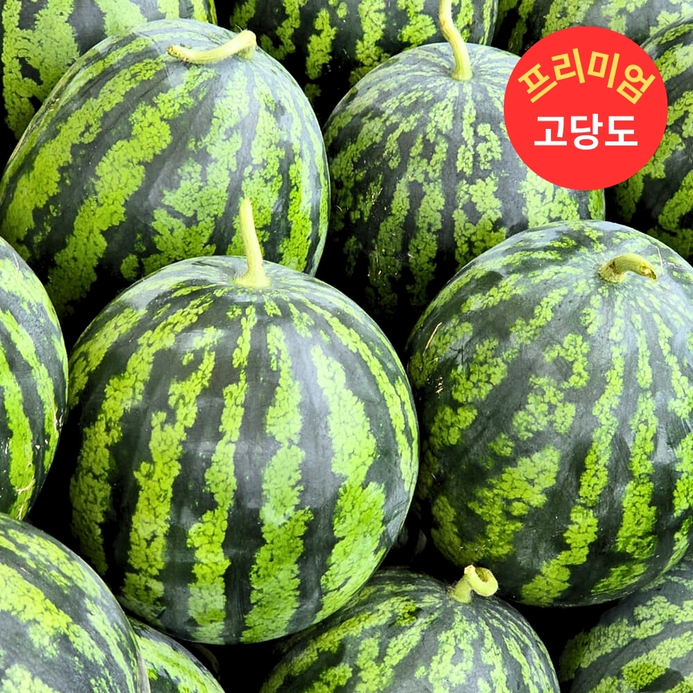 프리미엄 하우스 수박 가정용 수박 5~6kg - 상세 이미지 2