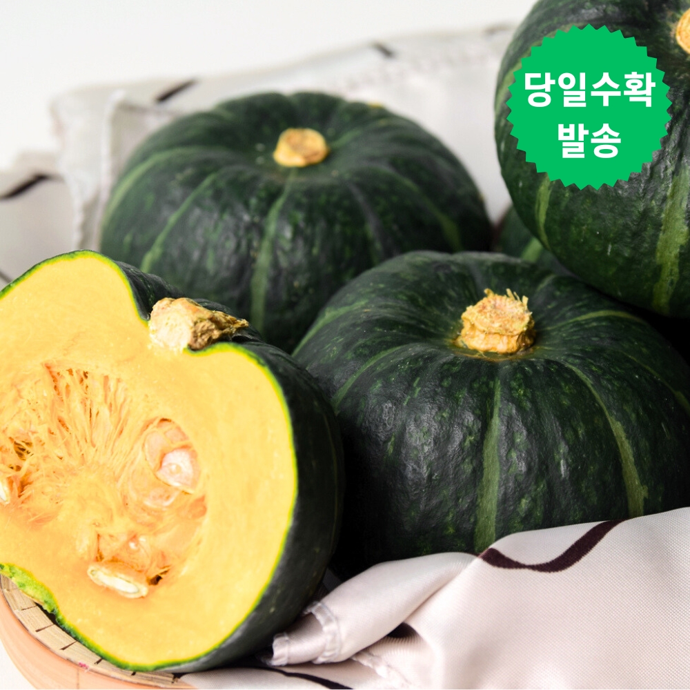 제주 미니 밤호박 청정애월 보우짱 5kg 로얄과 이미지 7