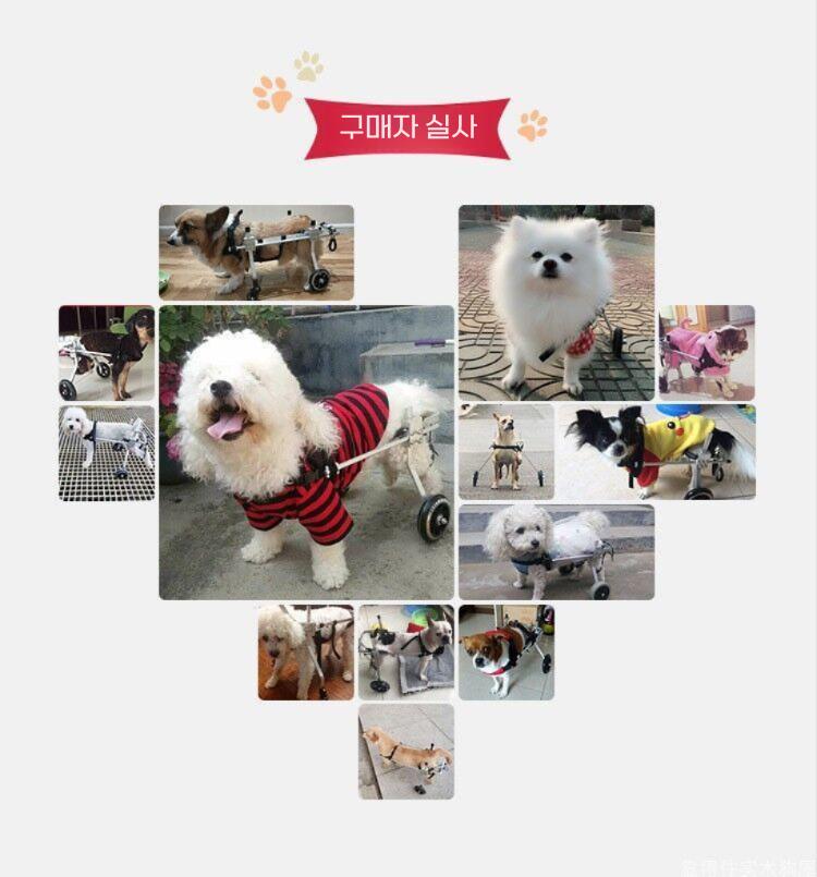 강아지휠체어 애견 뒷다리 의족 보행기 노견 보행 보조기 XXS 조립식 - 상세 이미지 4