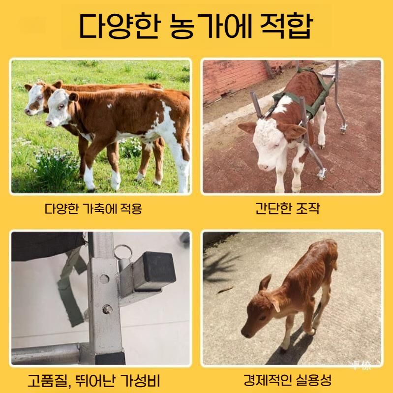 망아지 보행기 송아지 걸음마 보조기 새끼 걷기 연습 - 상세 이미지 4