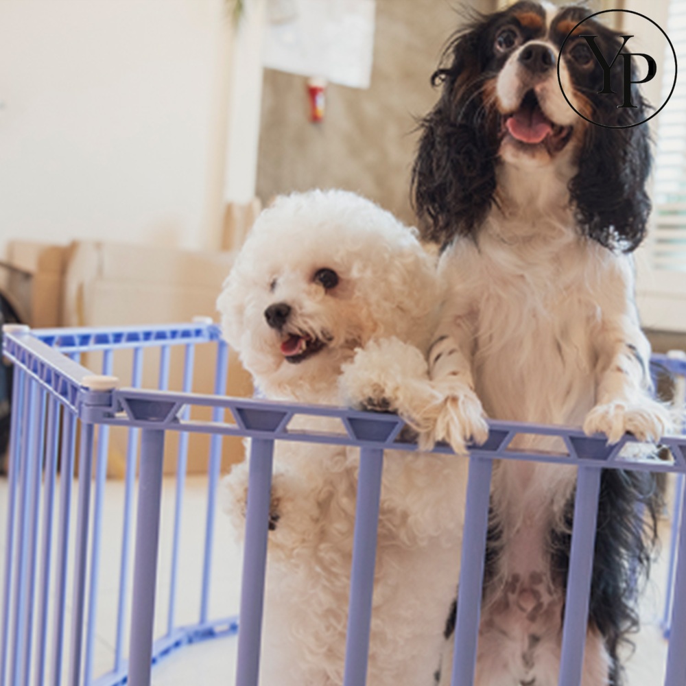 반려견 울타리 펜스 칸막이 안전문 퍽조절 견사 애완동물 소형견 점프방지 가드