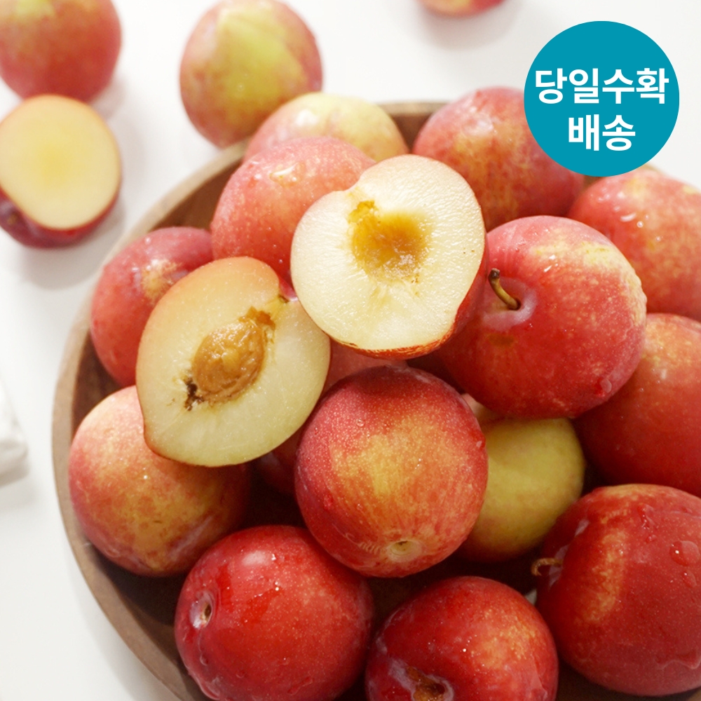 국내산 햇 고당도 후무사 자두 중대과 2kg - 상세 이미지 3