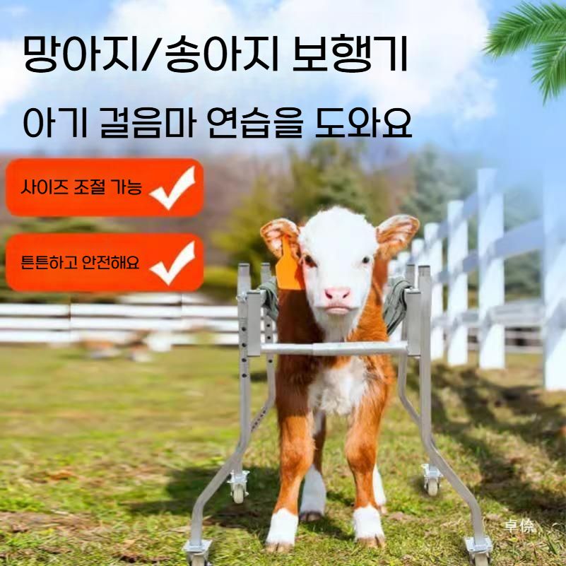 망아지 보행기 송아지 걸음마 보조기 새끼 걷기 연습 - 상세 이미지 2