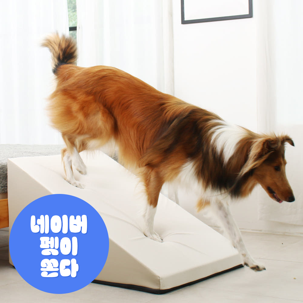 강아지계단 완벽 미끄럼방지 중형견 대형견 논슬립스텝 슈퍼울트라 제품 이미지