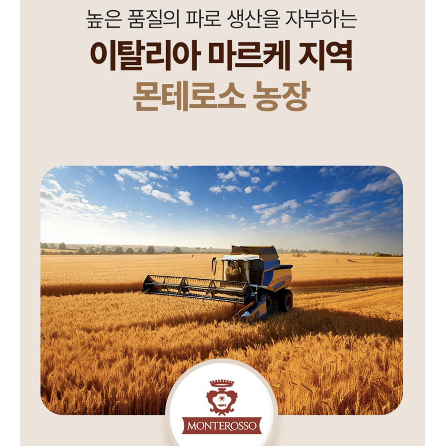 파로발효효소 30포 곡물 소화 아밀라아제 백만효소 엠머밀 이탈리아 - 상세 이미지 3