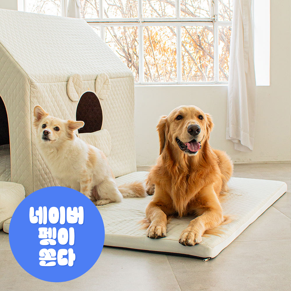 초코펫하우스 강아지침대 중형견 대형견 방석 쿨매트 사이언스 매트리스 2.0 중형 제품 이미지