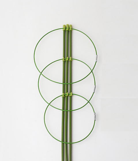가드닝 원예 화초 식물 지지대 접이식 화초 지지대 (45cm x 6p) - 상품 이미지