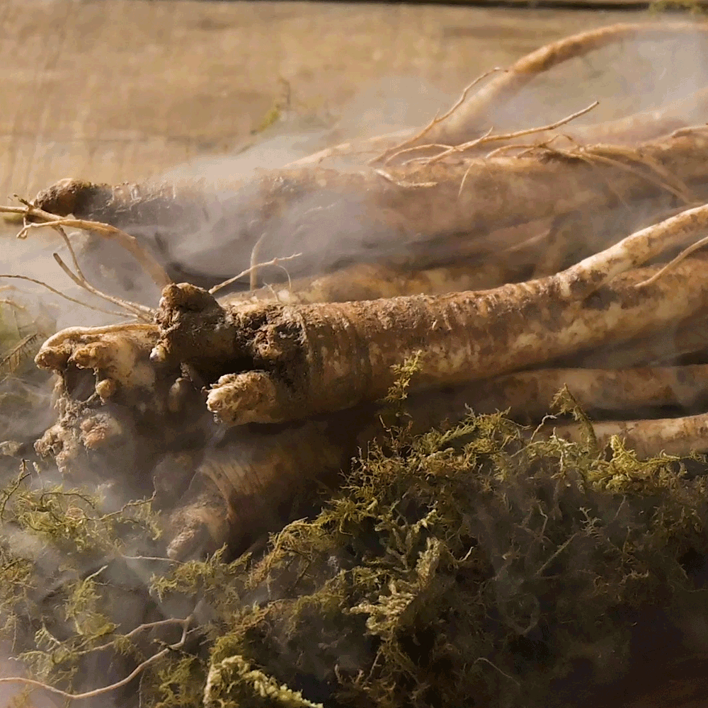 배 도라지청 흑도라지청 약도라지 스틱 진액 국산 30포