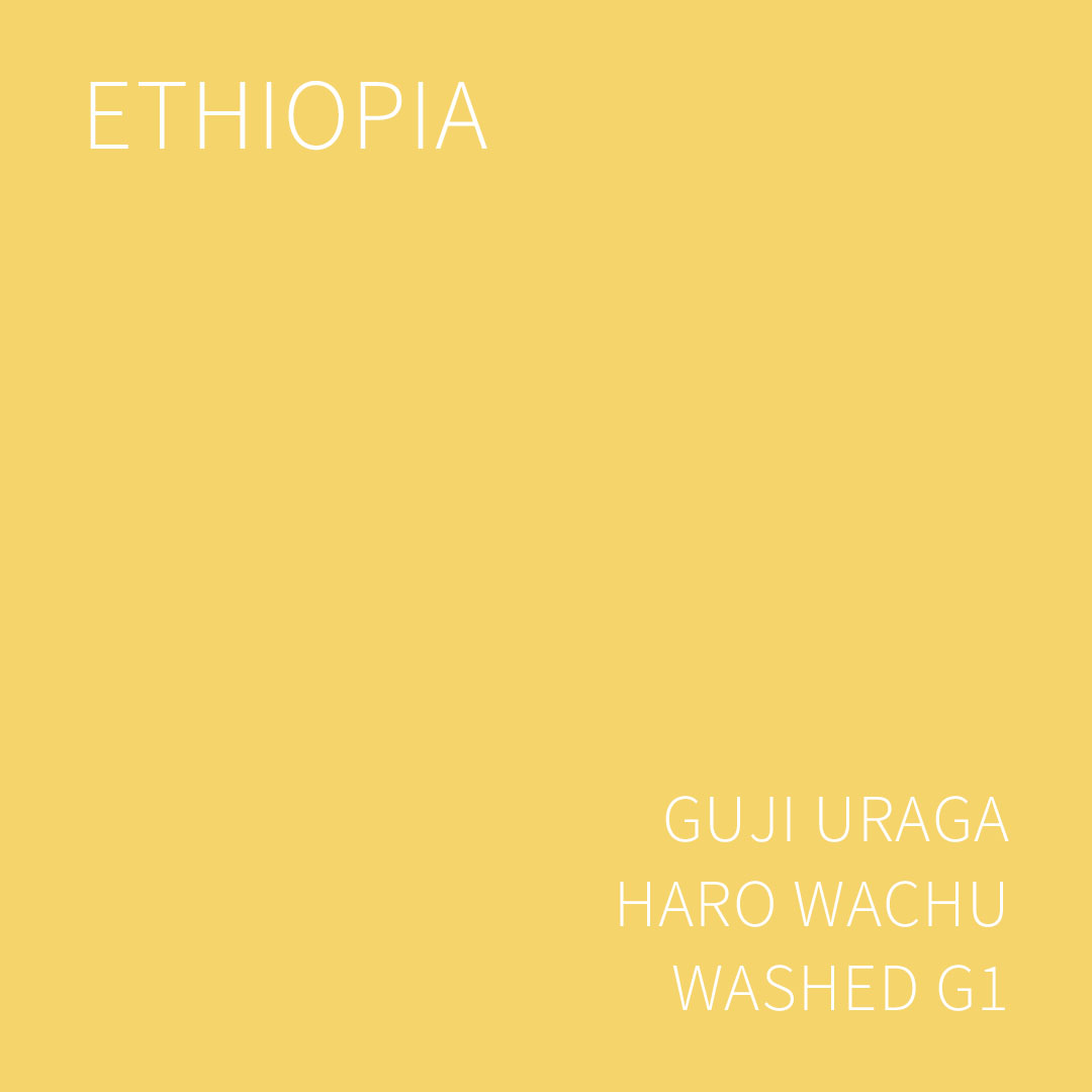 (2025 뉴크롭) 베르데 트레이드 에티오피아 구지 우라가 하로 와츄 워시드 G1 5KG (ETHIOPIA GUJI URAGA HARO WACHU WASHED)