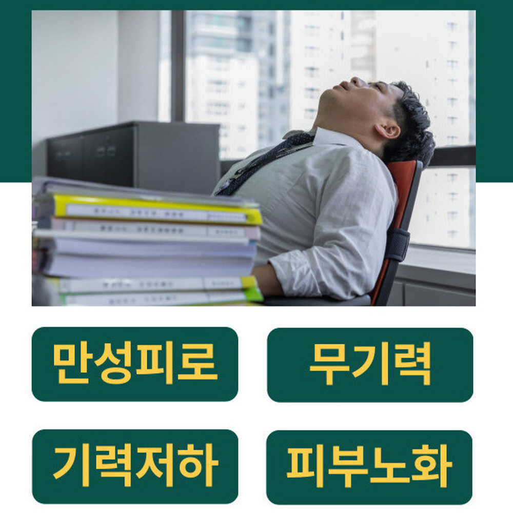 부모님선물 기력회복 만성피로 천상비기 난백실 알부민 액상스틱 15ml, 30포 - 상세 이미지 2