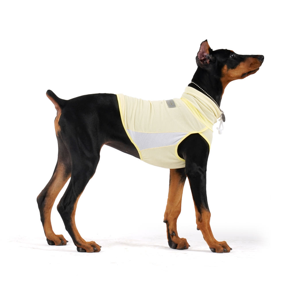 인터라켄 쿨조끼 다양한 색상