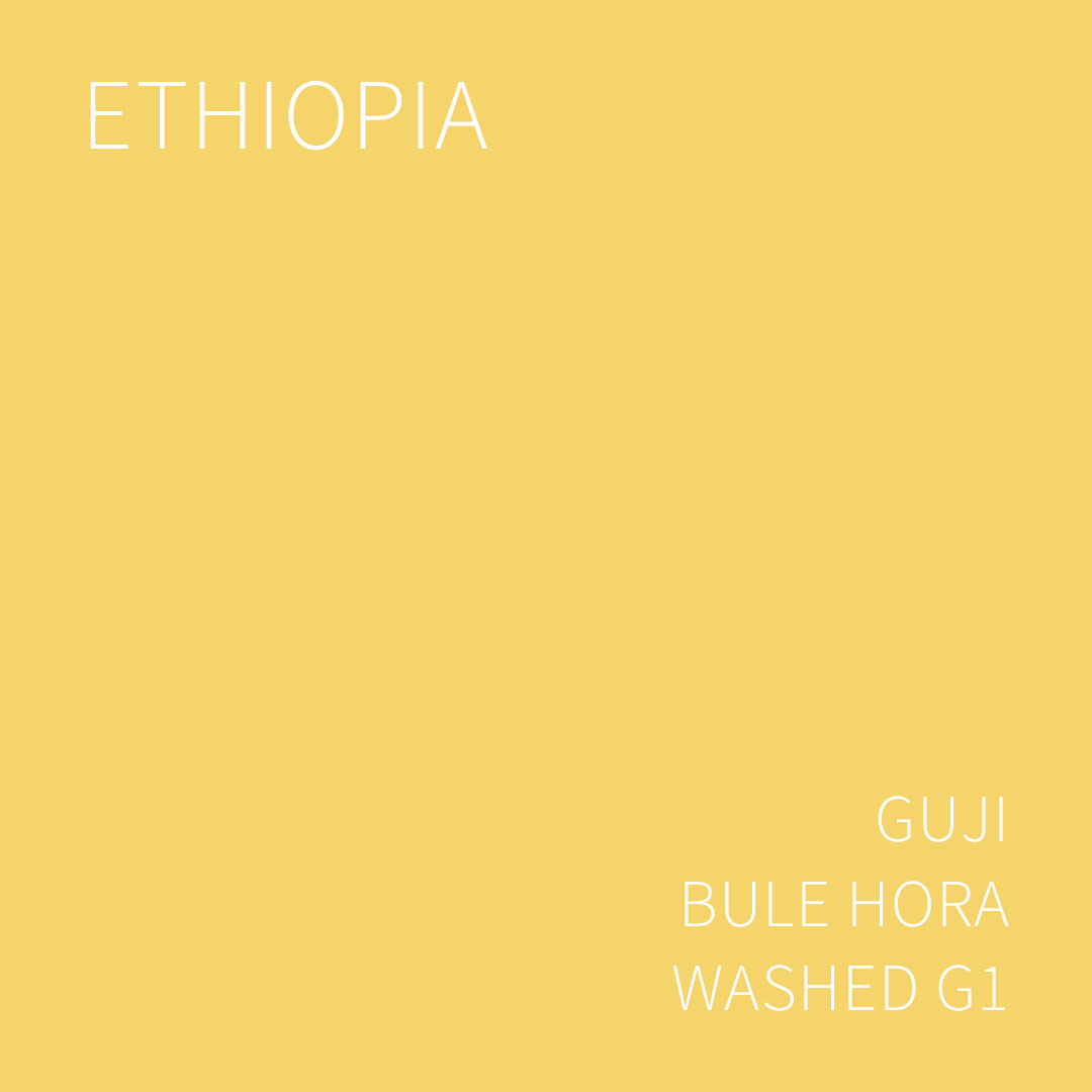 (2025 뉴크롭) 베르데 트레이드 에티오피아 구지 불레 호라 워시드 G1 1KG (ETHIOPIA GUJI BULE HORA WASHED)