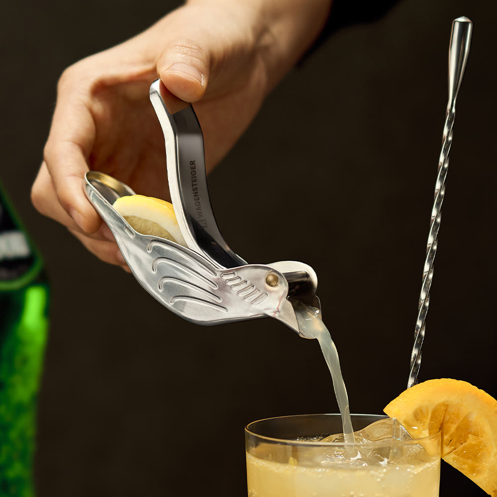 버드 스퀴저 디자인