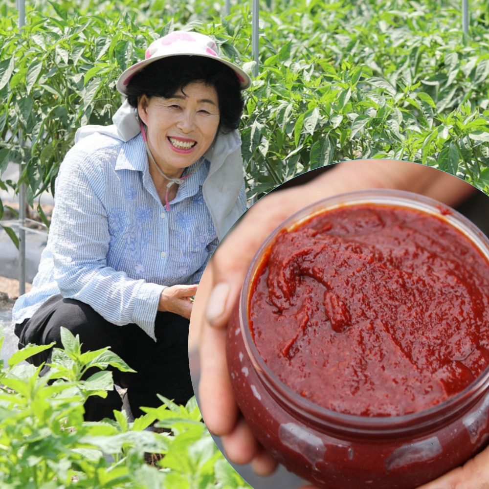 순창고추장 수제 옛날 시골고추장 홍공순 담예찬 1kg