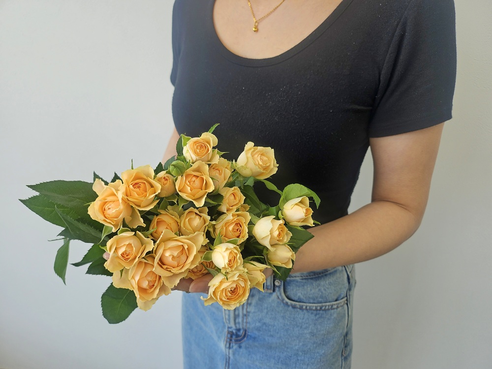 유스풀몰 미니장미한다발 생화 꽃 택배 꽃배달싼곳 이미지 3