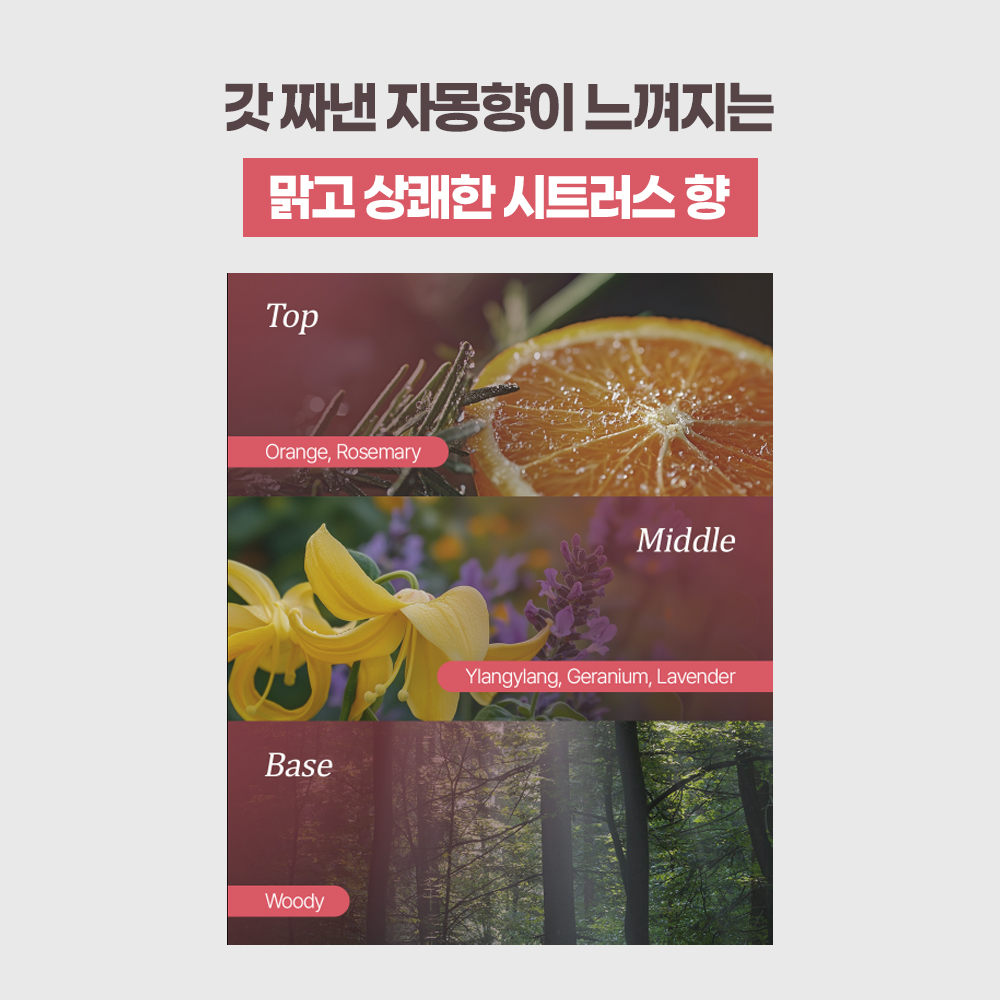 [N단독 대용량]닥터그루트 클리니컬 릴리프 지루성 두피용 약산성 샴푸+10초 워터 스케일러 샴푸 2 STEP 최다용량 기획