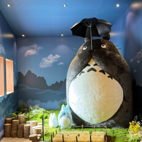 핫플트립 제주도버스투어 뚜벅이 패키지 일일여행 제주여행 액티비티 택시 투어패스 겨울 동백 상세 이미지 6