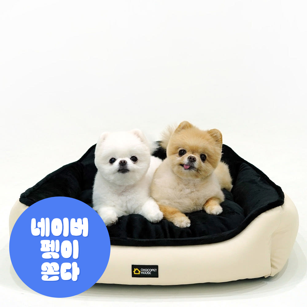 초코펫 강아지 방석 쿠션 침대 로얄사각방석 일반형
