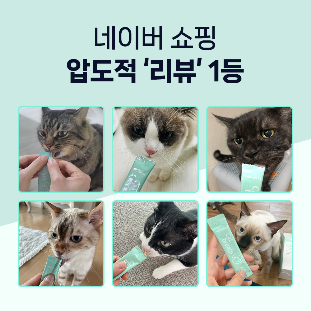 닥터바이 캣 브레스 고양이 기관지 호흡기 영양제 30포, 1개 - 상세 이미지 3