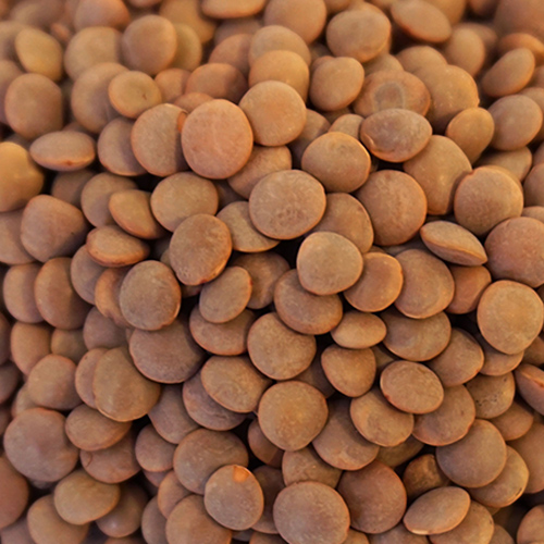방앗간아이 렌틸콩 루피니빈 호주 흰강낭콩 병아리콩 미국 잡곡 500ml 1L 800g - 상세 이미지 2