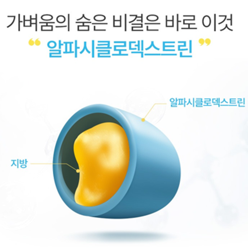 비웰 알파시클로 덱스트린 알파 CD 분말 스틱 14포 1박스 난소화성말토덱스트린 시디 효능 - 상세 이미지 4
