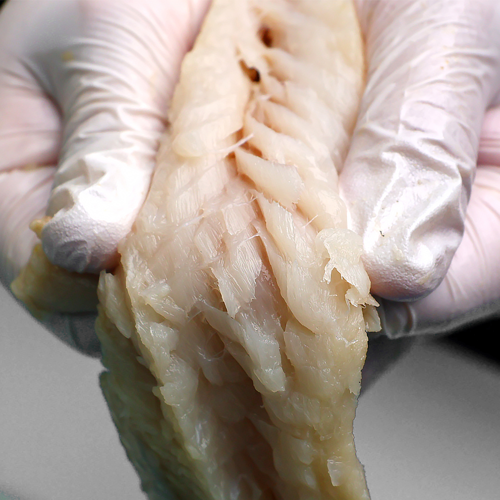 순살임연수 700g 가시제거 손질 가시없는 이면수구이 필렛 - 상세 이미지 3