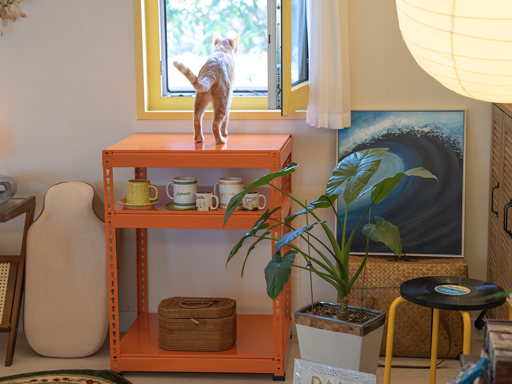 폴던스랙 올스틸 홈 카페 거실 수납 선반 인테리어 선반장 1000x300x1800mm, 5단, 오렌지 - 상세 이미지 4