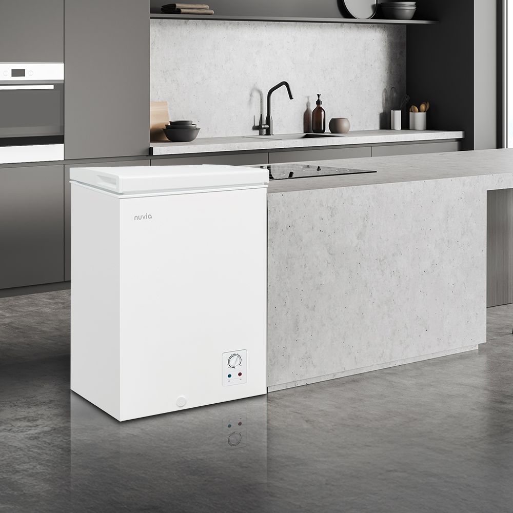 급속 냉동고 업소용 참치냉동고 100L NF-C100W