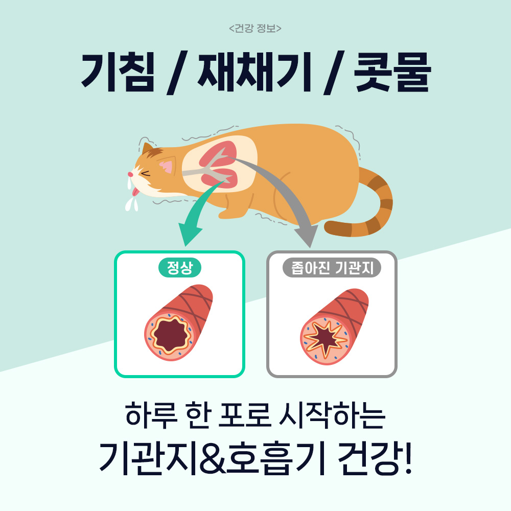닥터바이 캣 브레스 고양이 기관지 호흡기 영양제 30포, 1개 - 상세 이미지 5