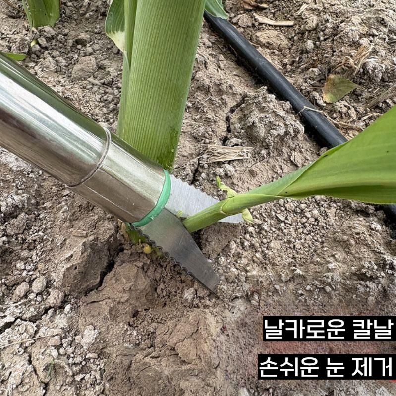 옥수수 순따기 순치기 가지 해바라기 곁순 자르는 기계 - 상세 이미지 5
