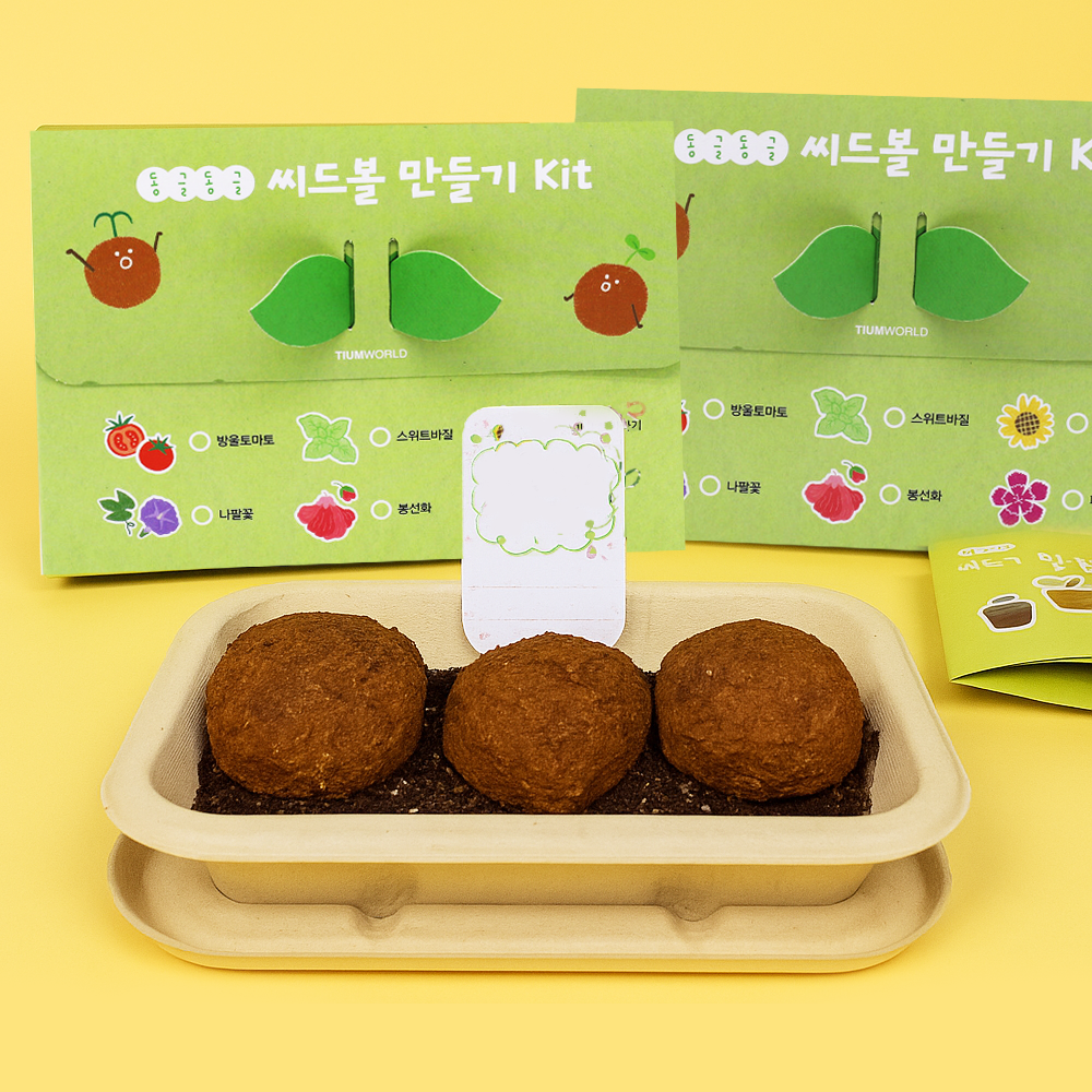 씨드볼 씨앗폭탄 씨드밤 씨앗볼 만들기 유아가드닝 원예체험 키트 - 상세 이미지 2
