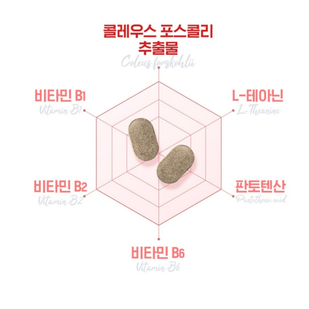 닥터브라이언 퍼펙트핏 콜레우스 포스콜리 제로 이지 뉴욕커팅제 미국산 30정, 3개 이미지 7